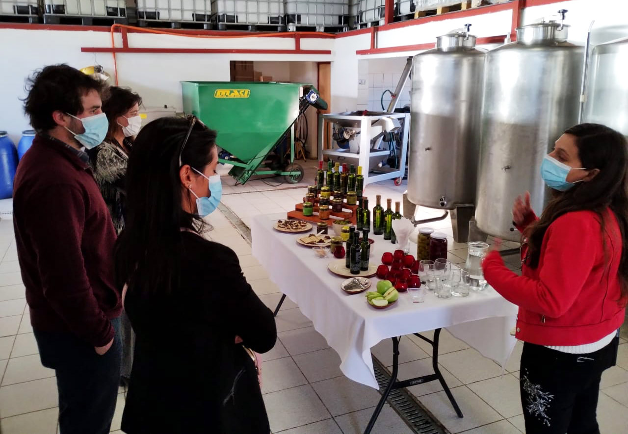 Oportunidades de negocios y futuras ventas: la exitosa visita de importadores internacionales a productores de Atacama