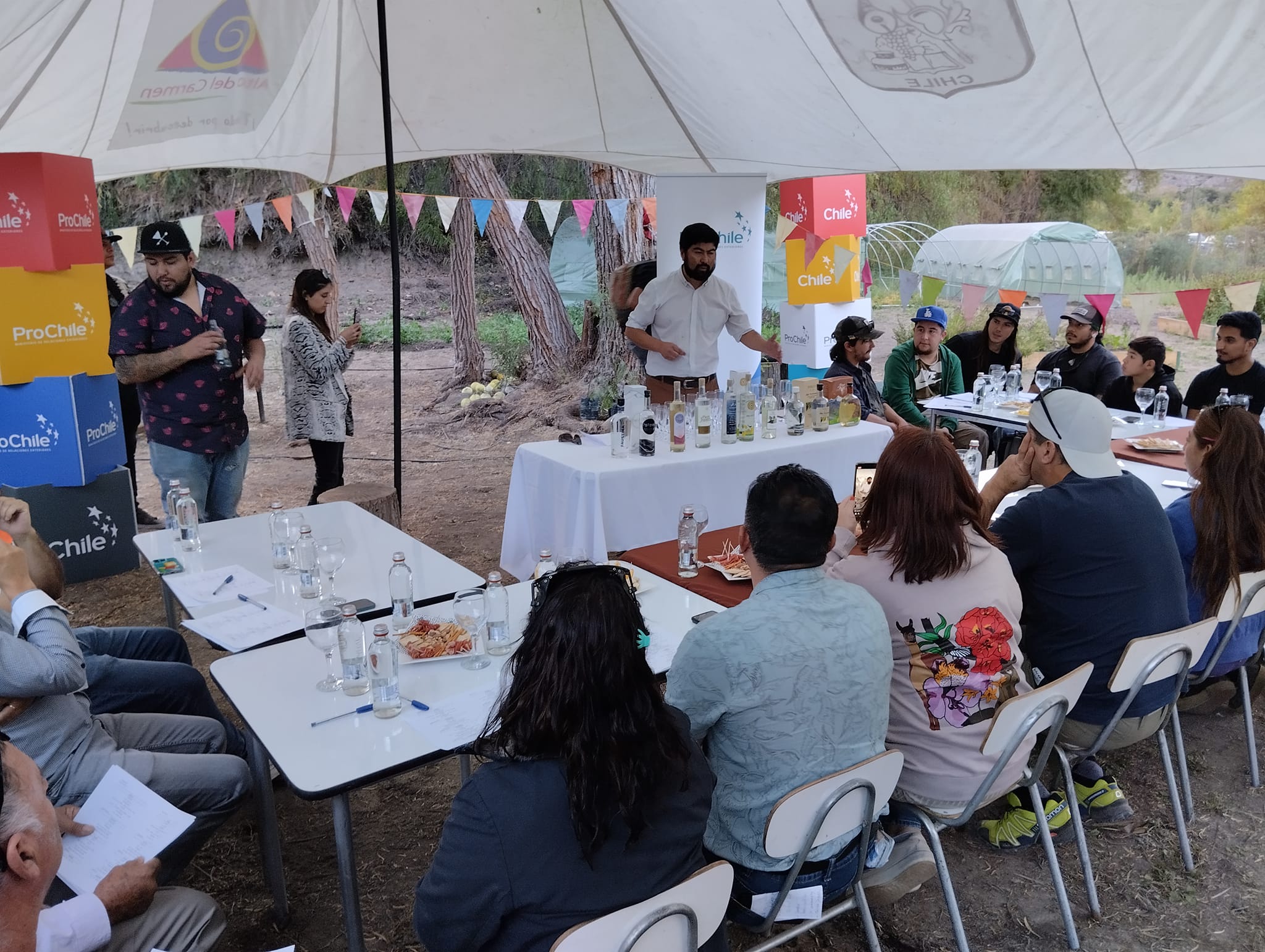 Con actividad en destilería y Feria Regional en Alto del Carmen culmina Mes del Pisco