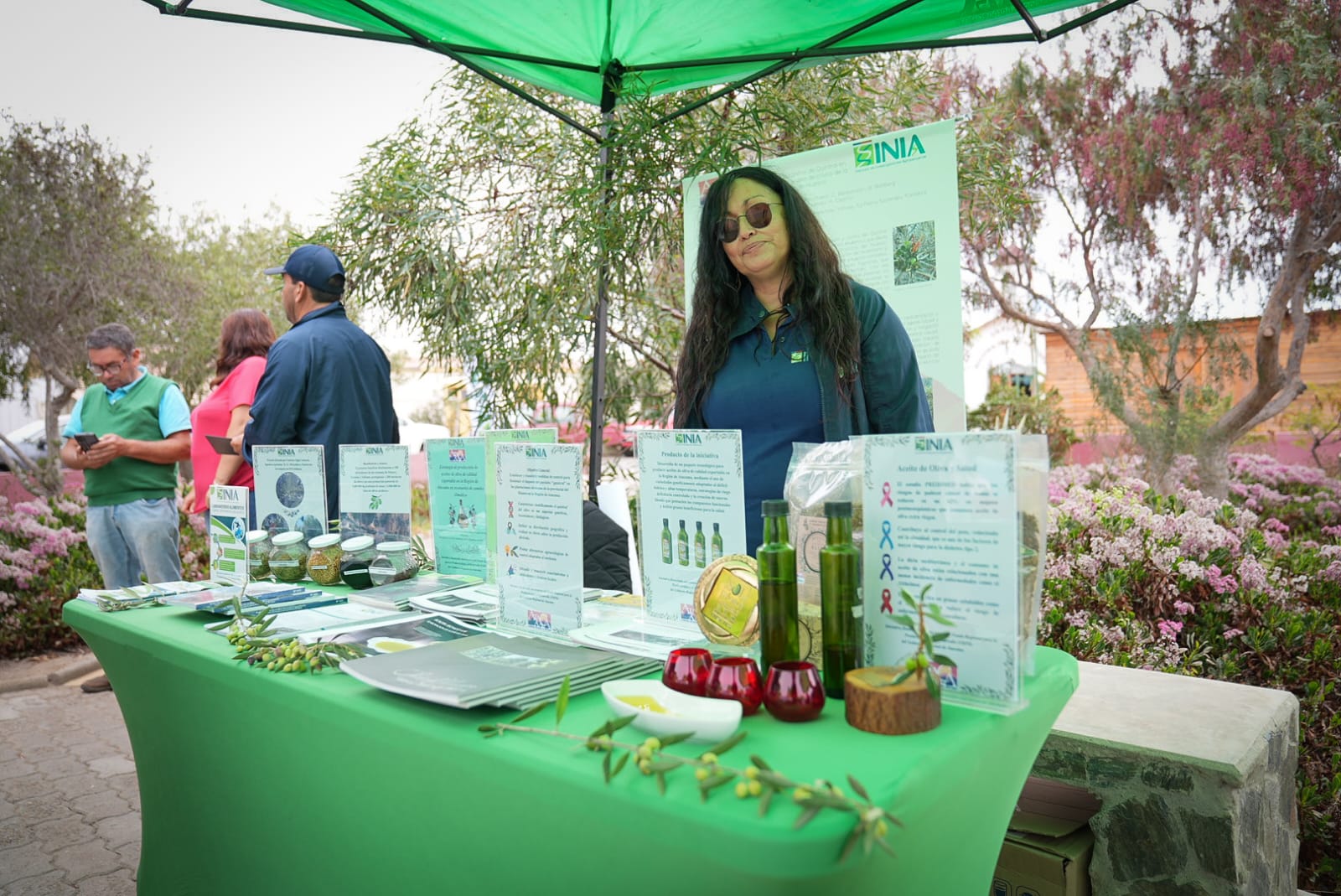 Productores de aceitunas de mesa de Atacama logran Marca Colectiva “Sabor y Tradición de Carrizalillo”